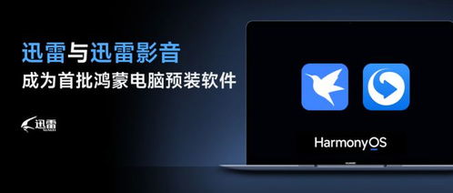 迅雷及迅雷影音成為首批鴻蒙電腦預裝軟件 助力國產(chǎn)系統(tǒng)蓬勃發(fā)展