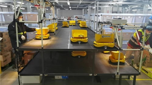 備戰618 機器人先上陣，鏢普、小黃人、RaaS技術助力高效柔性自動化分揀